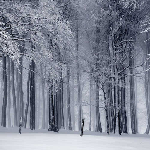 winter