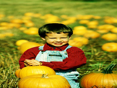 pumpkins