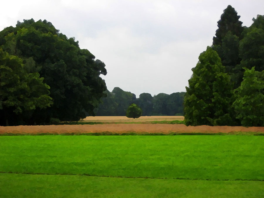 Landscape