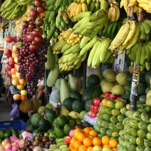 Fruit